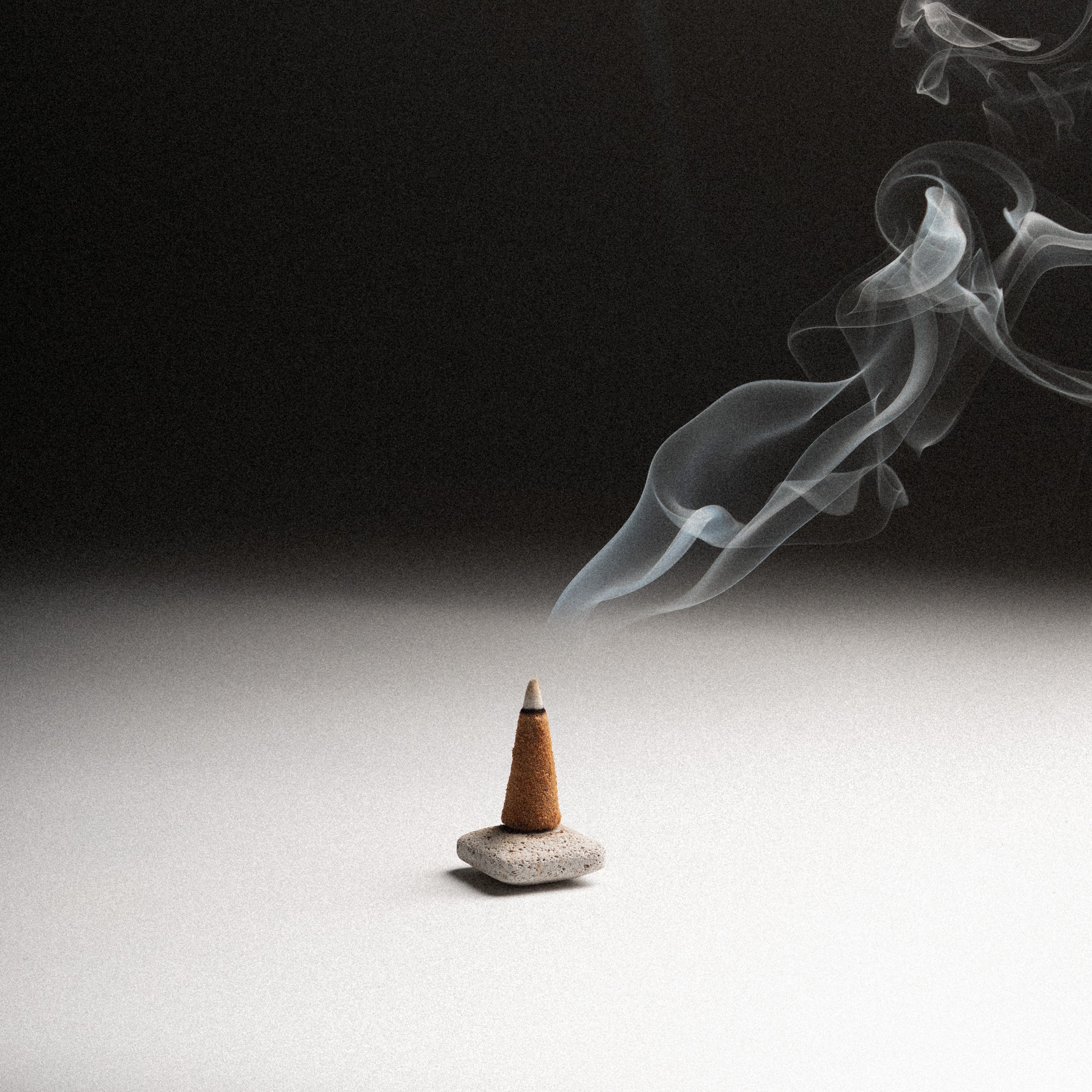 Thrive | Abundance Incense Cones